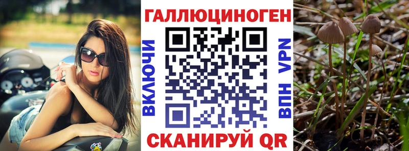 Псилоцибиновые грибы GOLDEN TEACHER  Купить закладки  Джанкой 
